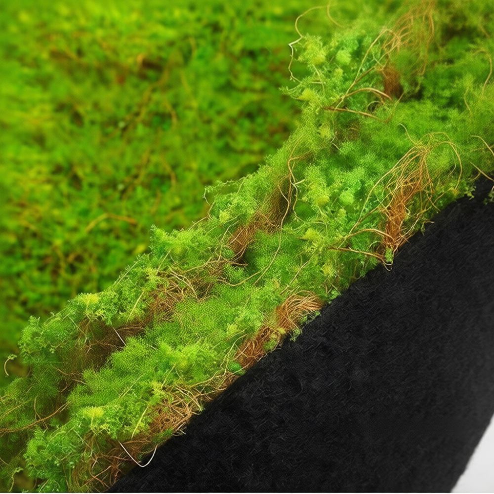 Alas Rumput Sintetis Berbentuk - Preserved Moss Sheet ulasan dan harga