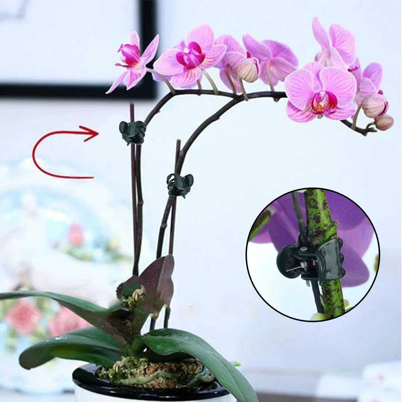 100 Buah Klip Tanaman Mini, Pe - Florist Supply Bulk ulasan dan harga
