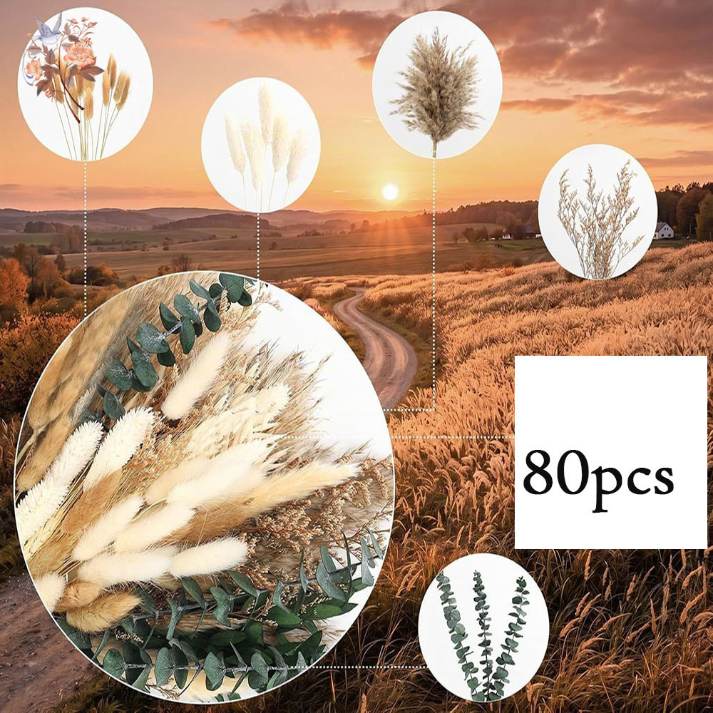 80 buah rangkaian bunga kering - Eucalyptus Preserved ulasan dan harga